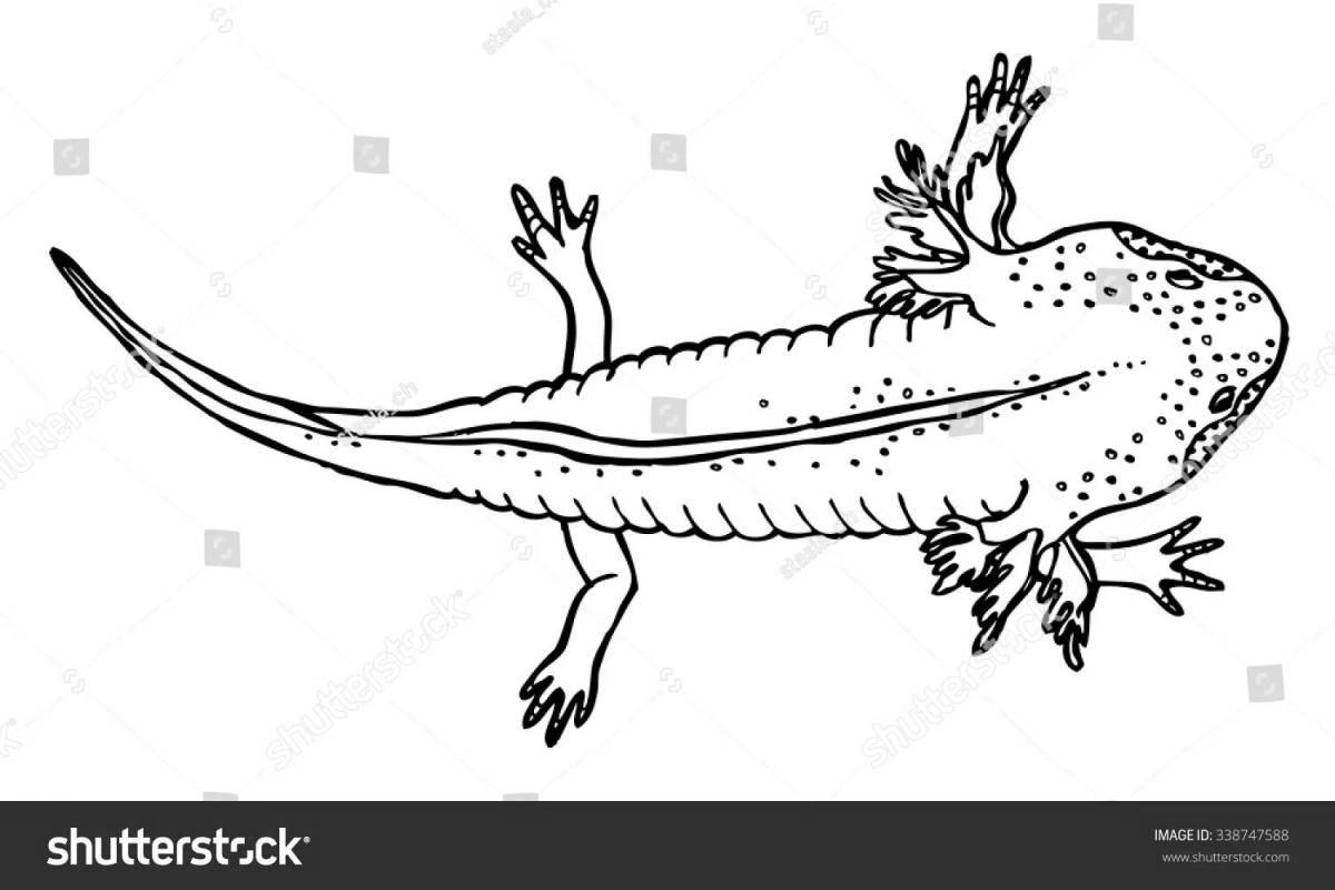 Amazing axolotl coloring book for kids