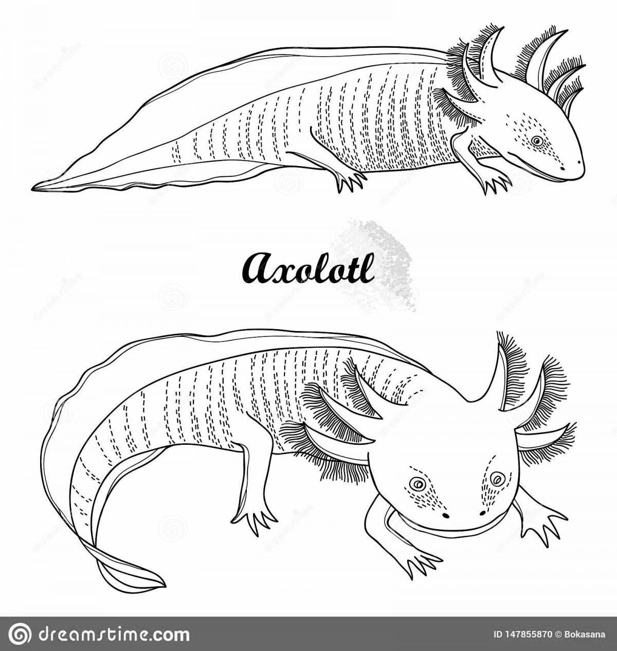 Fun axolotl coloring book for kids