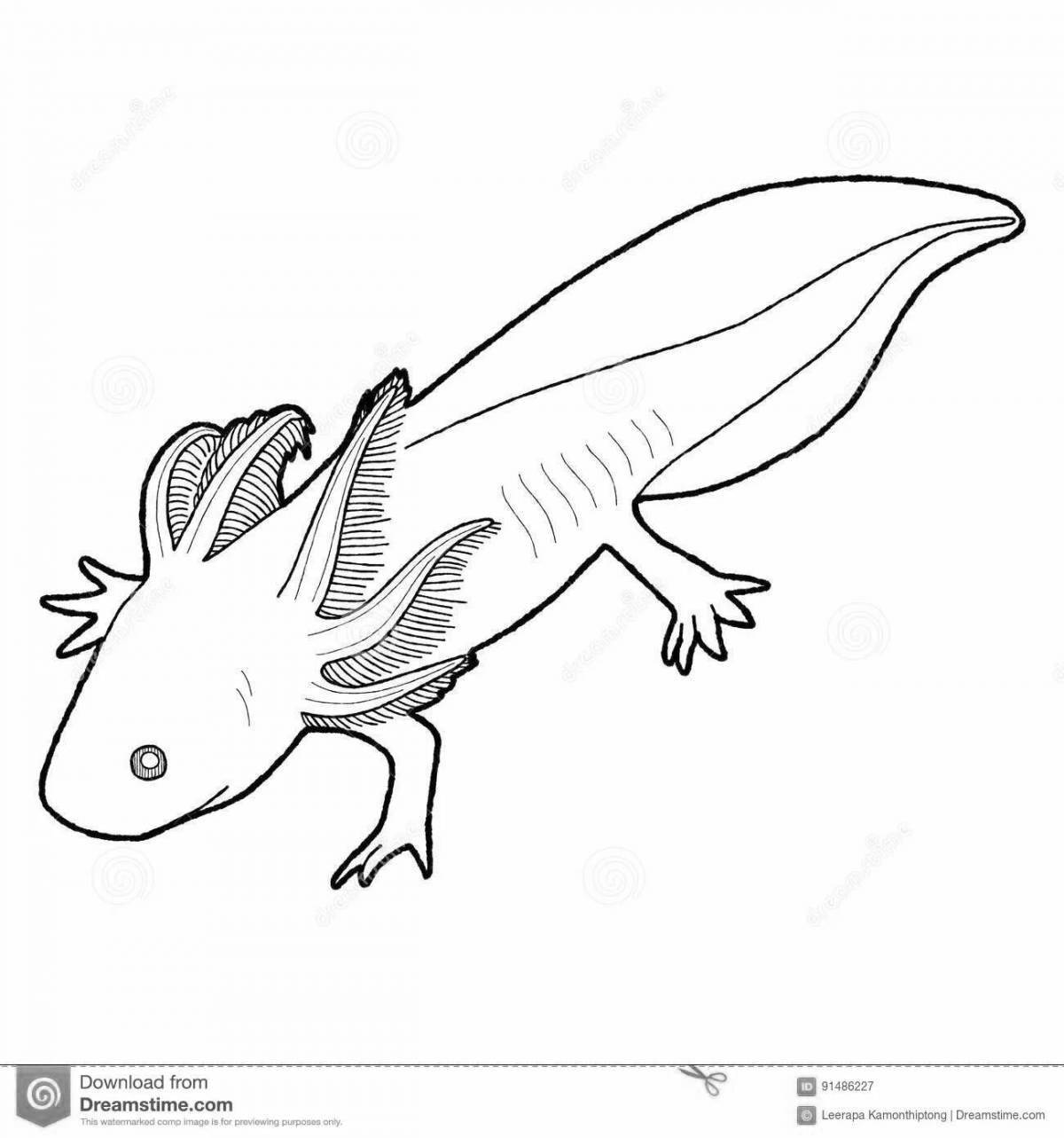 Colorful axolotl coloring page for kids