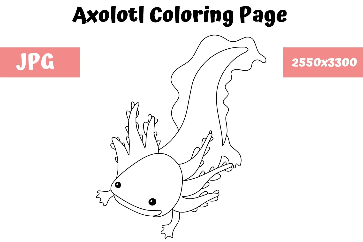 Axolotl for kids #13