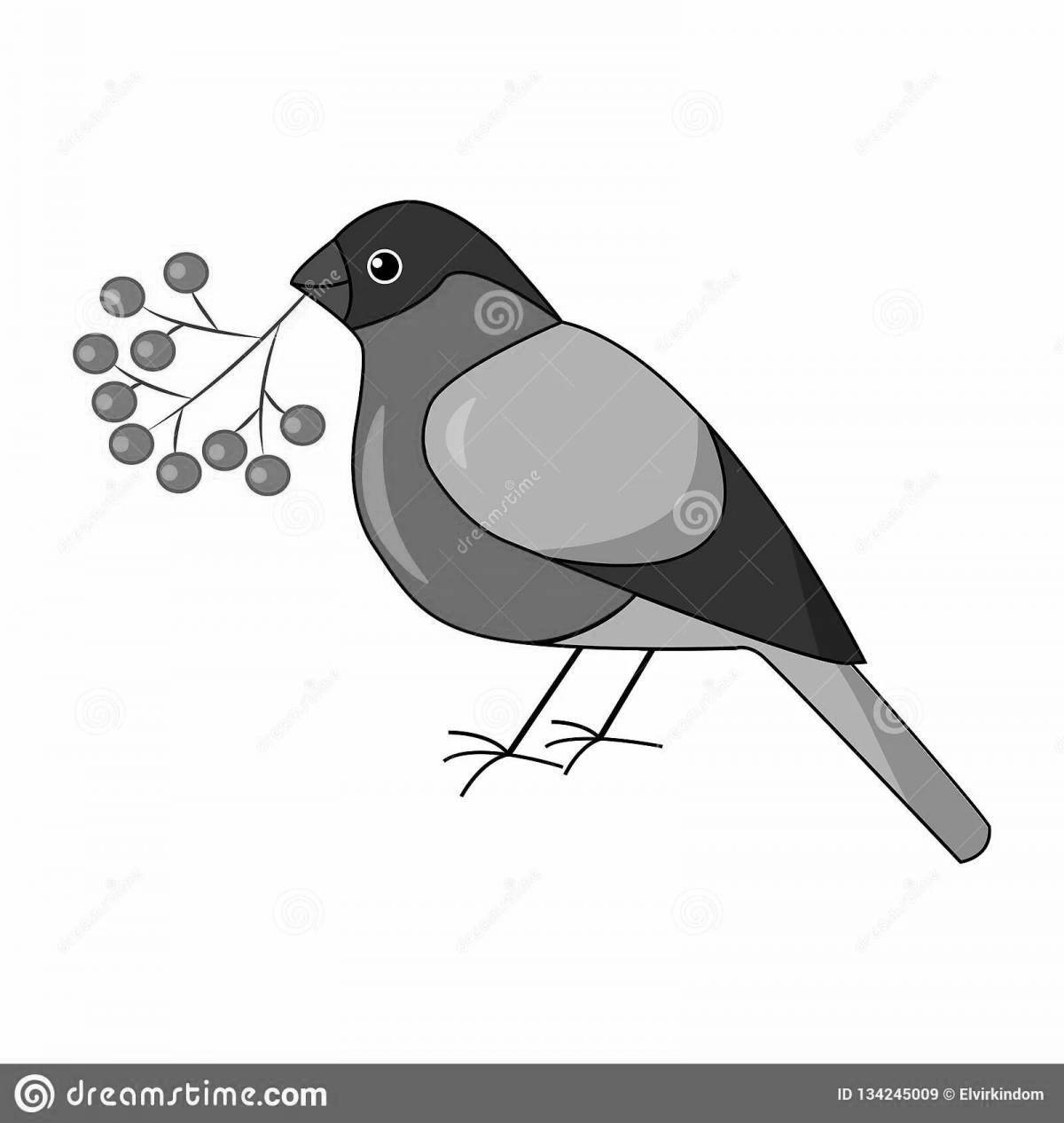 Animated bullfinch coloring page