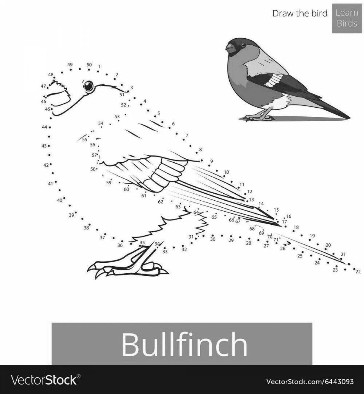 Gorgeous bullfinch coloring page