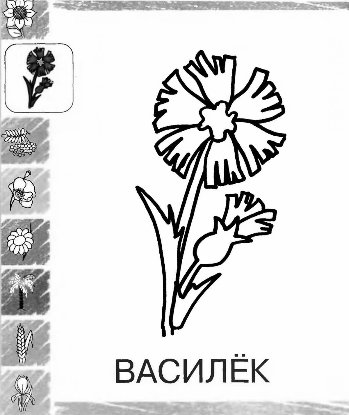 Adorable symbols of belarus for kids