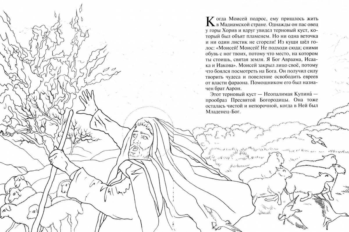 Colorful burning bush coloring book for kids