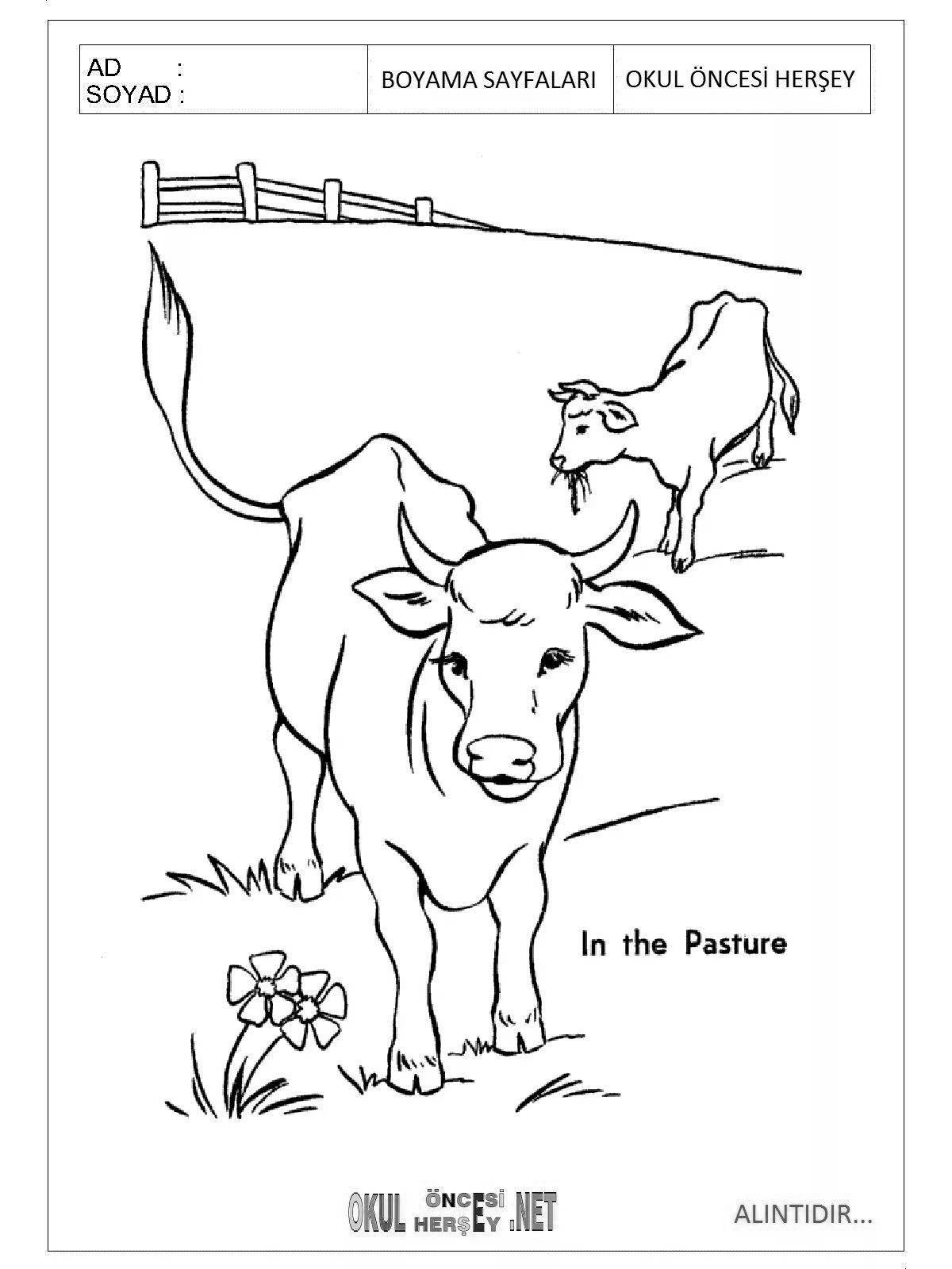 Coloring page dazzling cow for kids