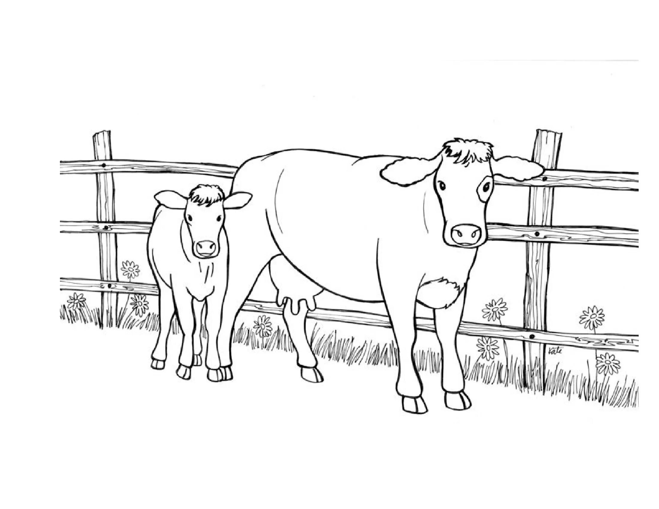Drawing cow for kids #2