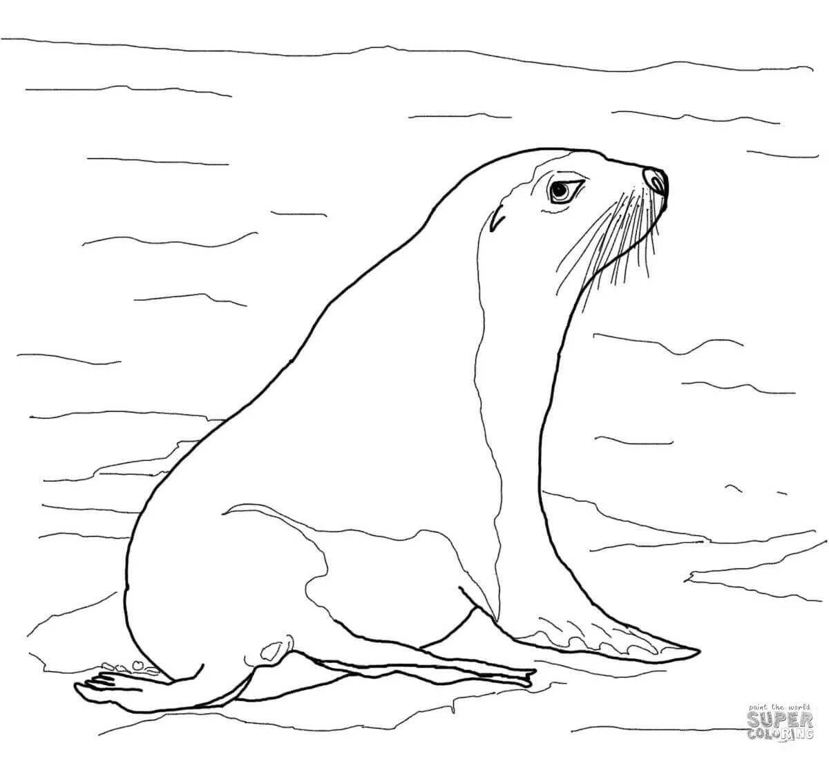 Adorable Antarctic coloring book for 6-7 year olds