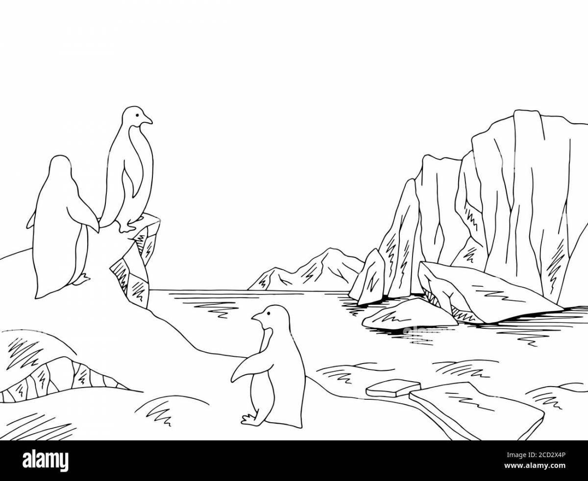 Great antarctica coloring book for kids 6-7 years old