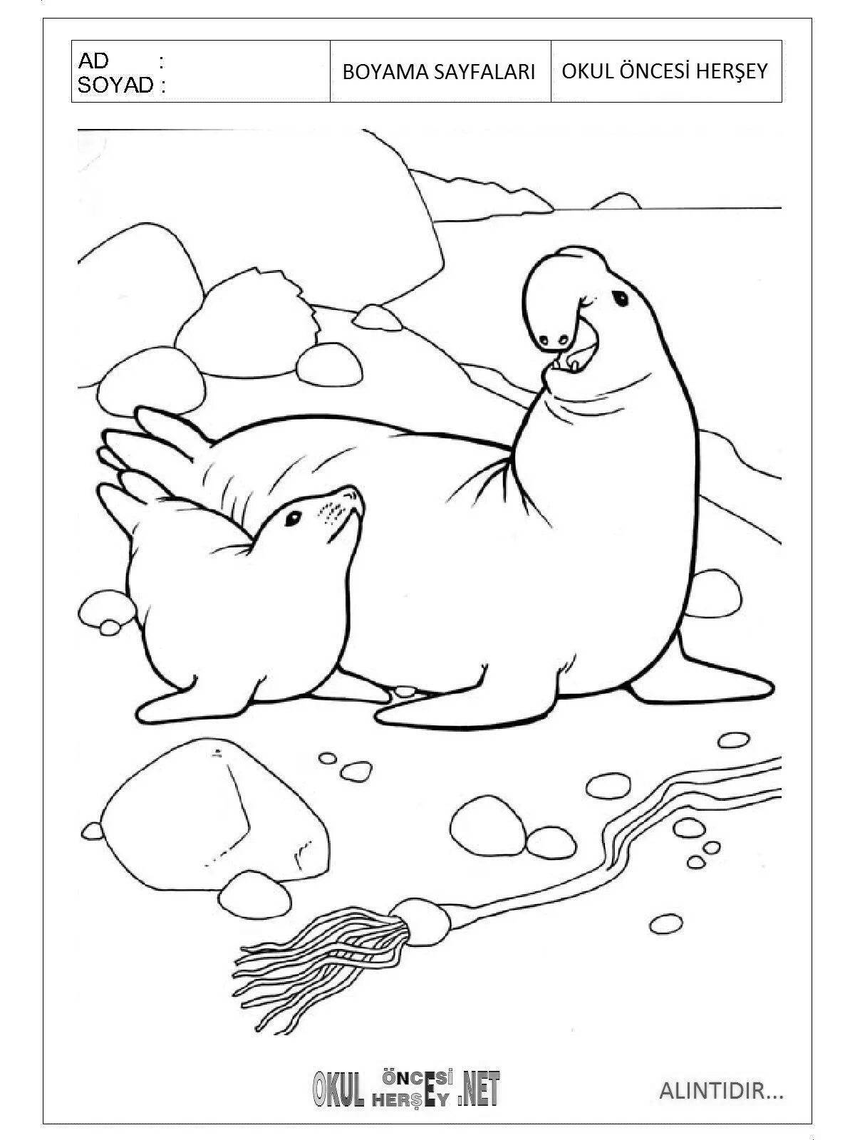 Antarctic playful coloring for children 6-7 years old