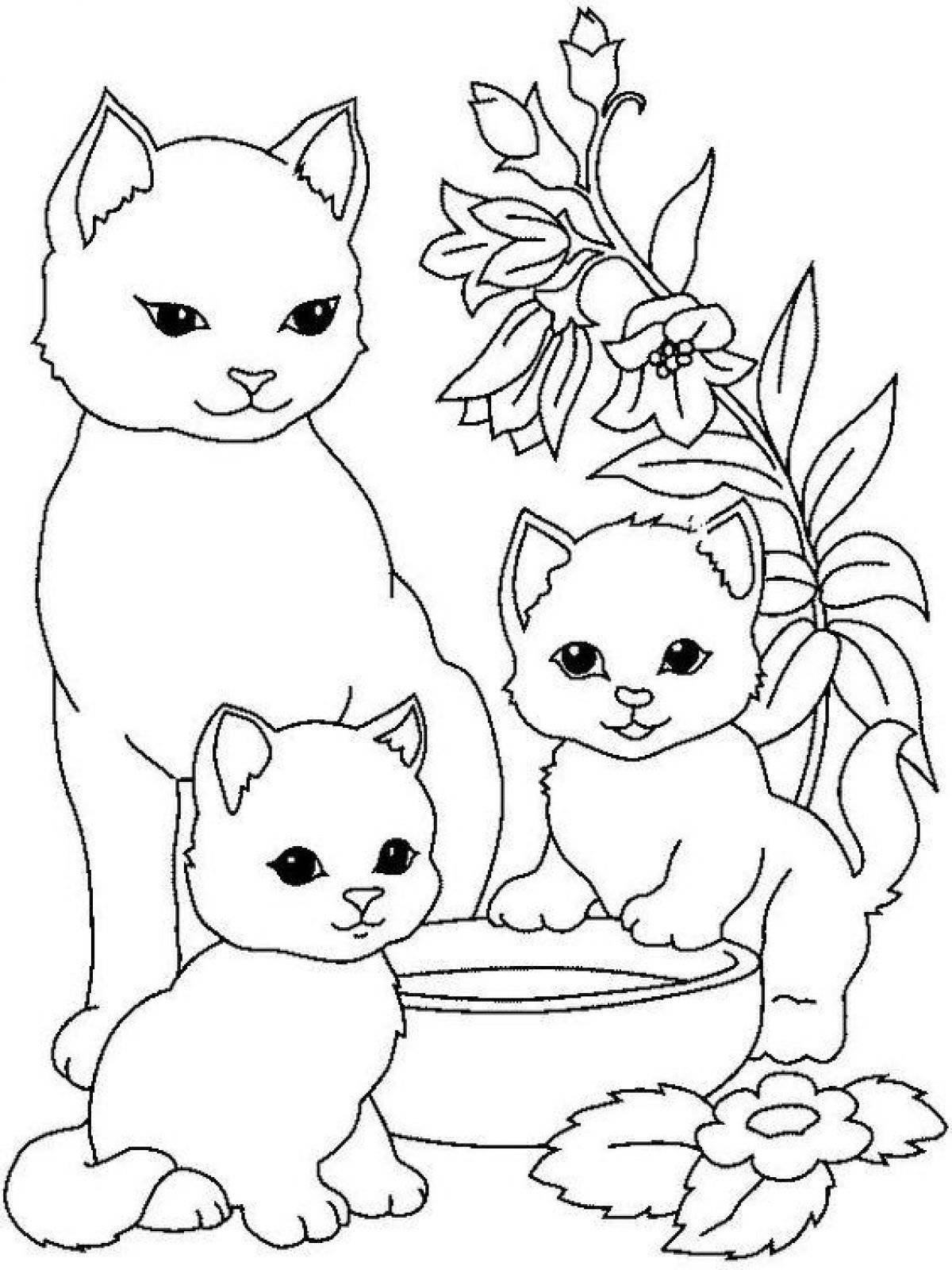 Веселая раскраска кошка для детей 5-6 лет