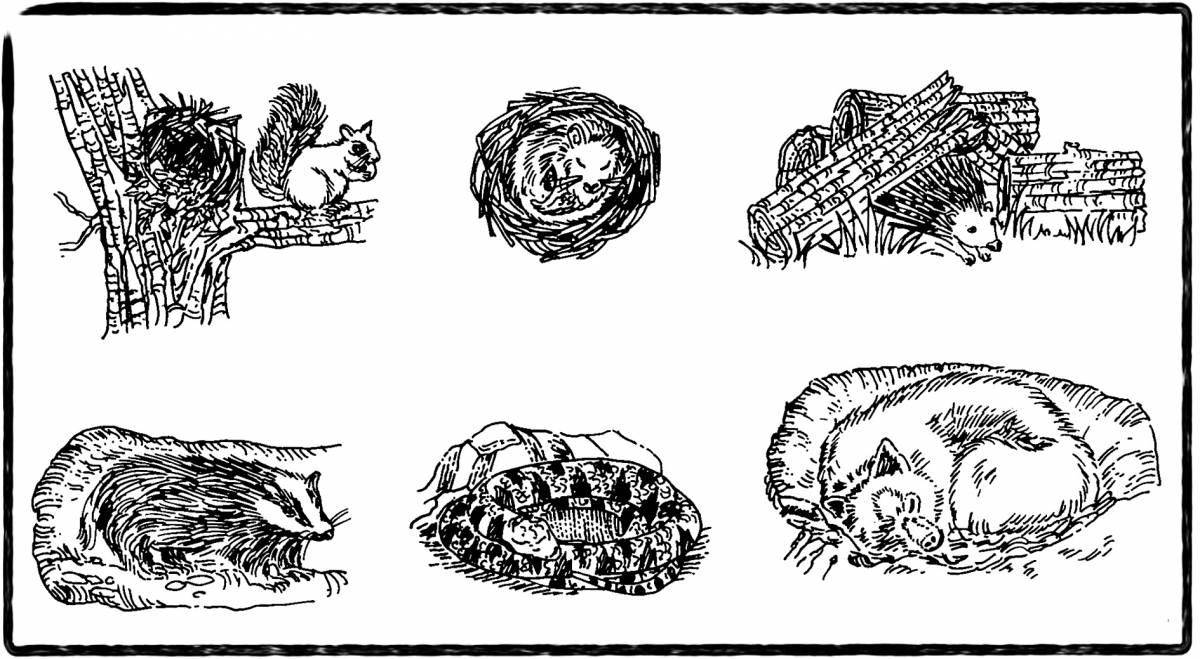 Magic coloring bear in a den in winter