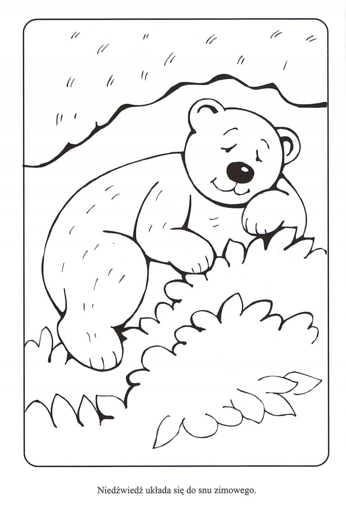 Coloring book sleeping bear in a den in winter