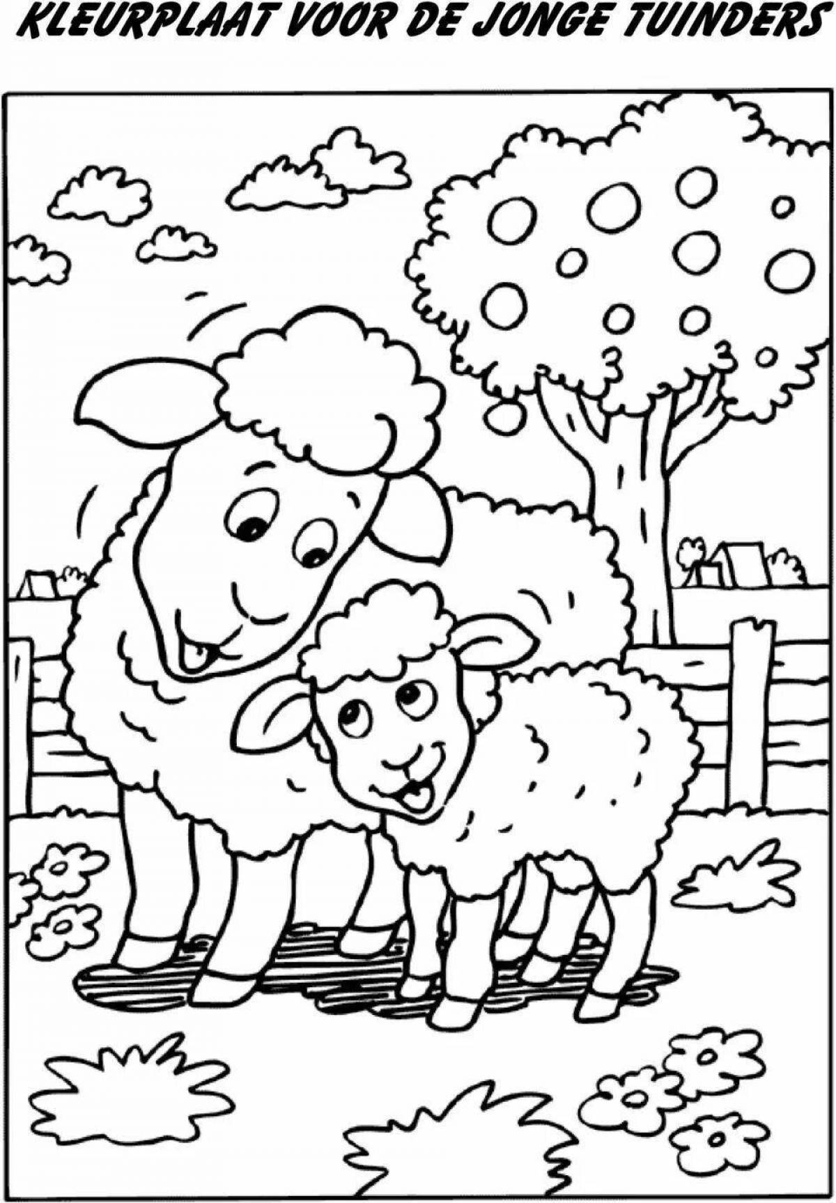 Shiny sheep coloring book for 5-6 year olds