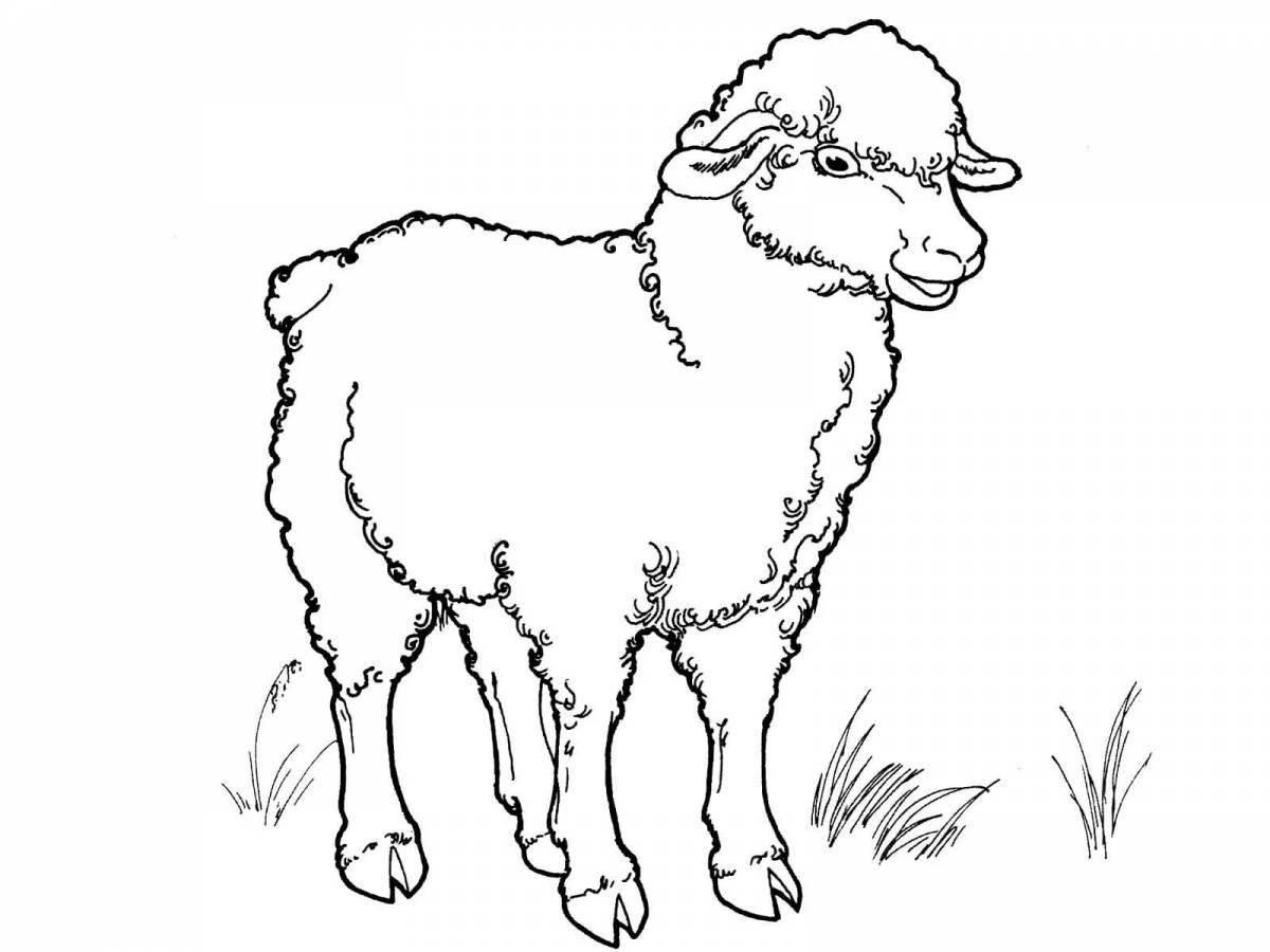 Sheep coloring book for games for children 5-6 years old