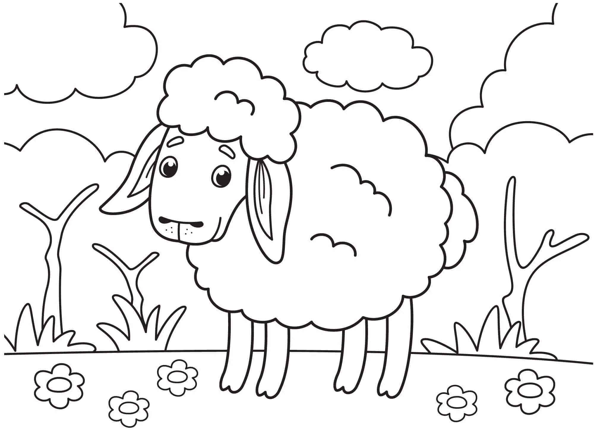Colorful and delightful coloring of sheep for children 5-6 years old