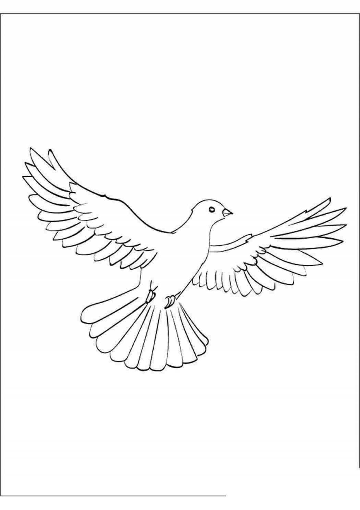 Innovative dove of peace coloring book for kids