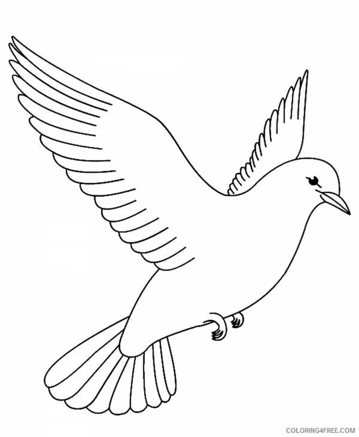 Attractive dove of peace coloring page for kids