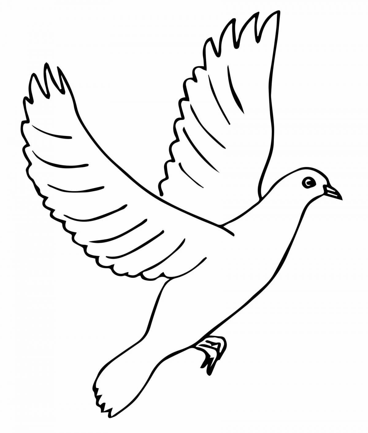 Coloring Pages Peace dove for kids pattern (38 pcs) - download or print ...