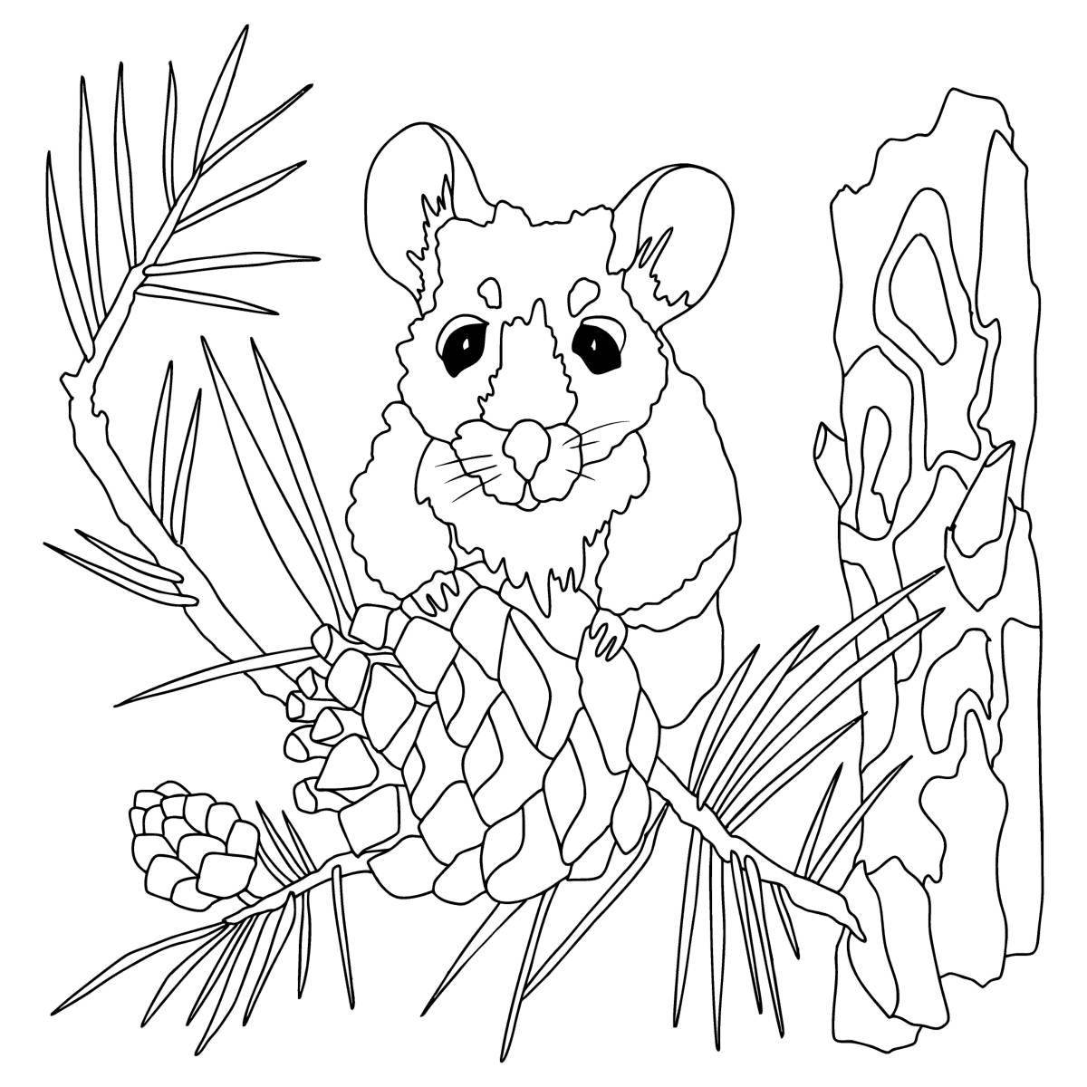 Причудливая раскраска мышь для детей 3-4 лет