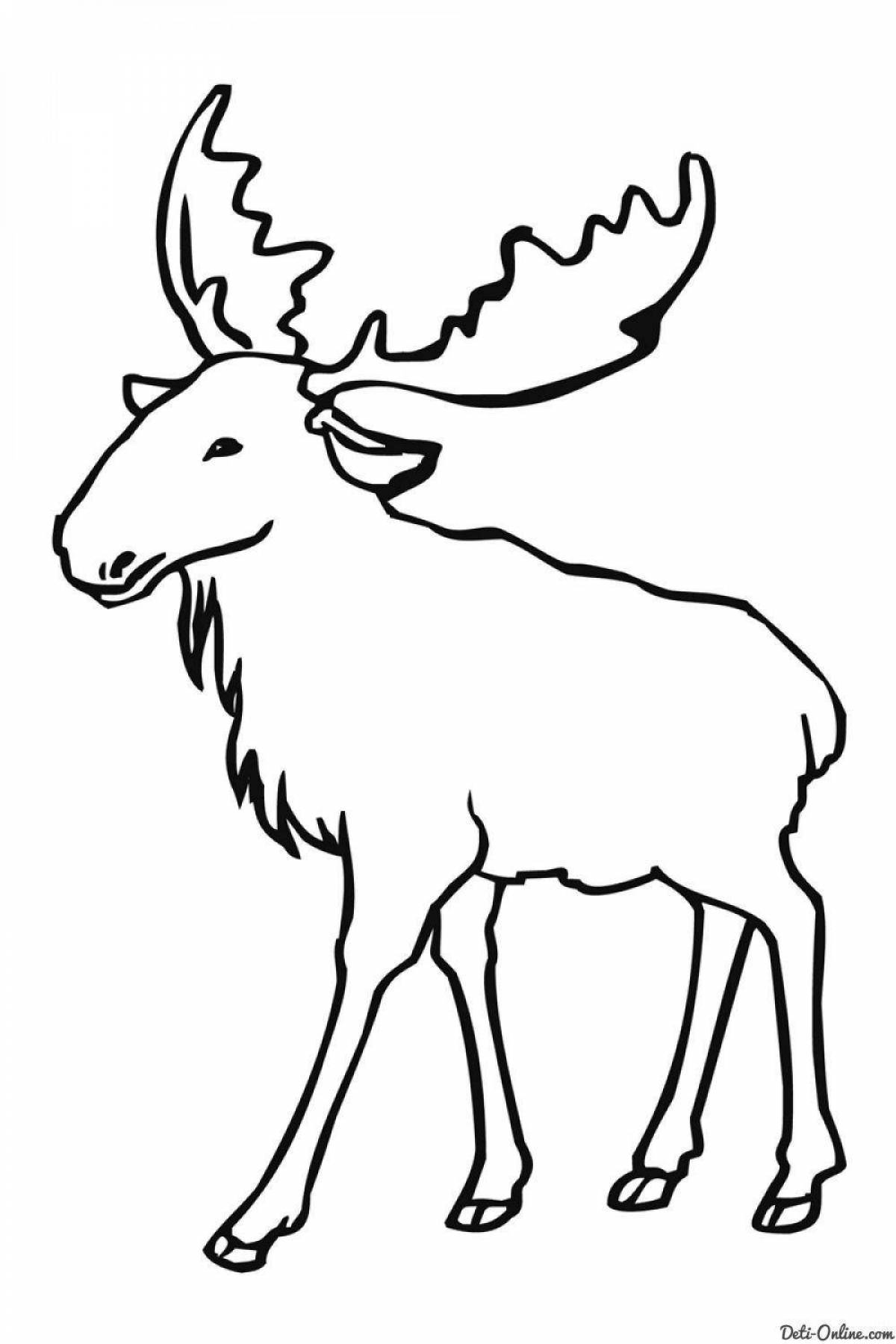 Exquisite deer coloring book for kids 6-7 years old