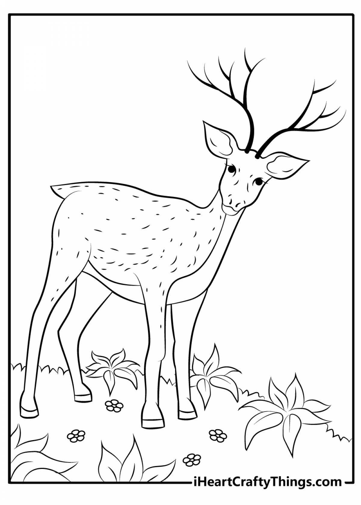 A fun deer coloring book for kids 6-7 years old
