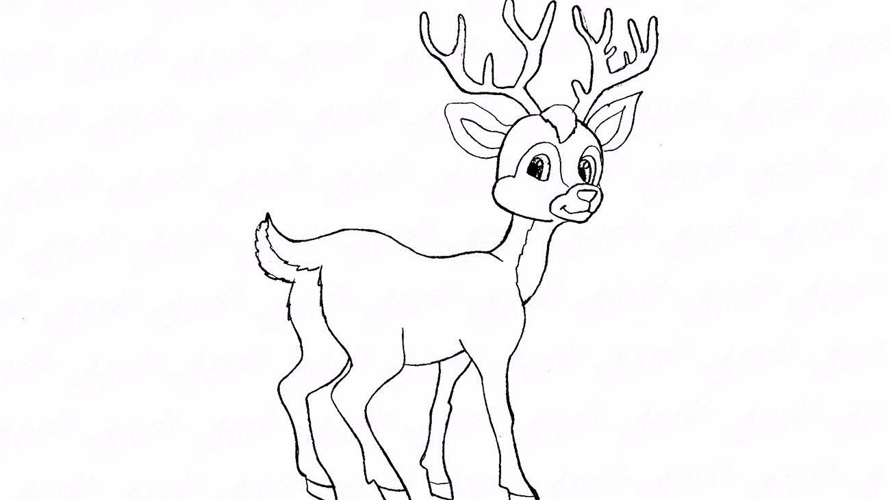 Elegant deer coloring book for children 6-7 years old