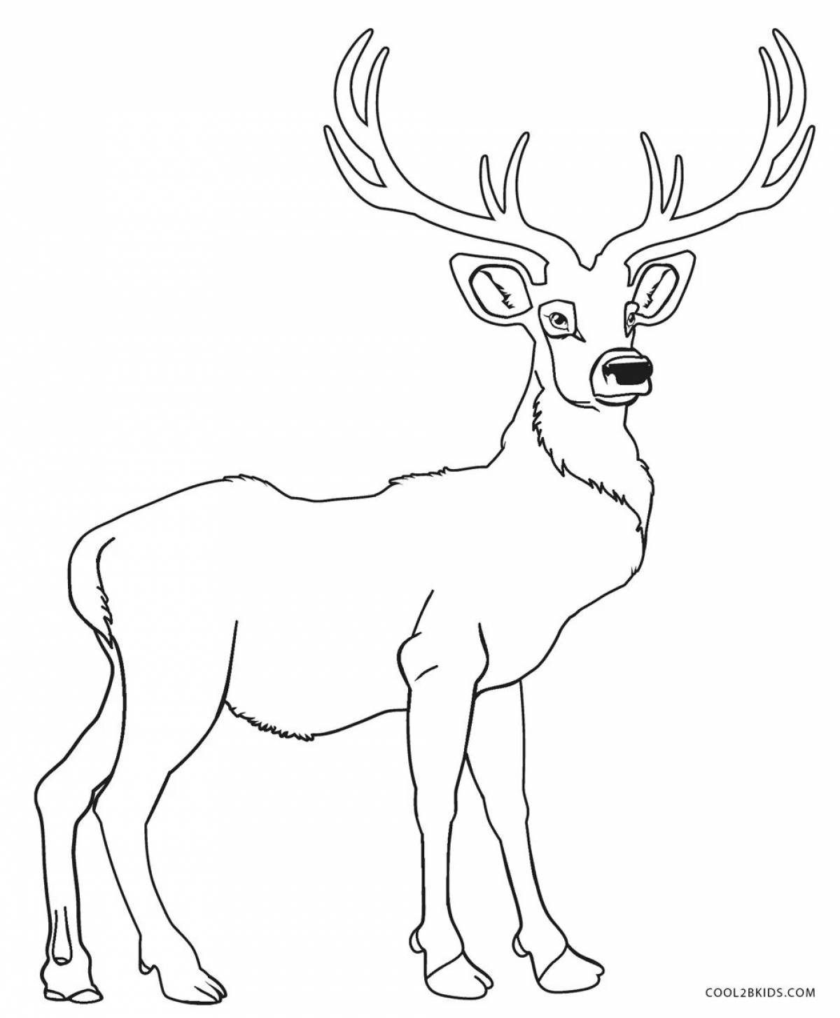 Playful deer coloring book for children 6-7 years old