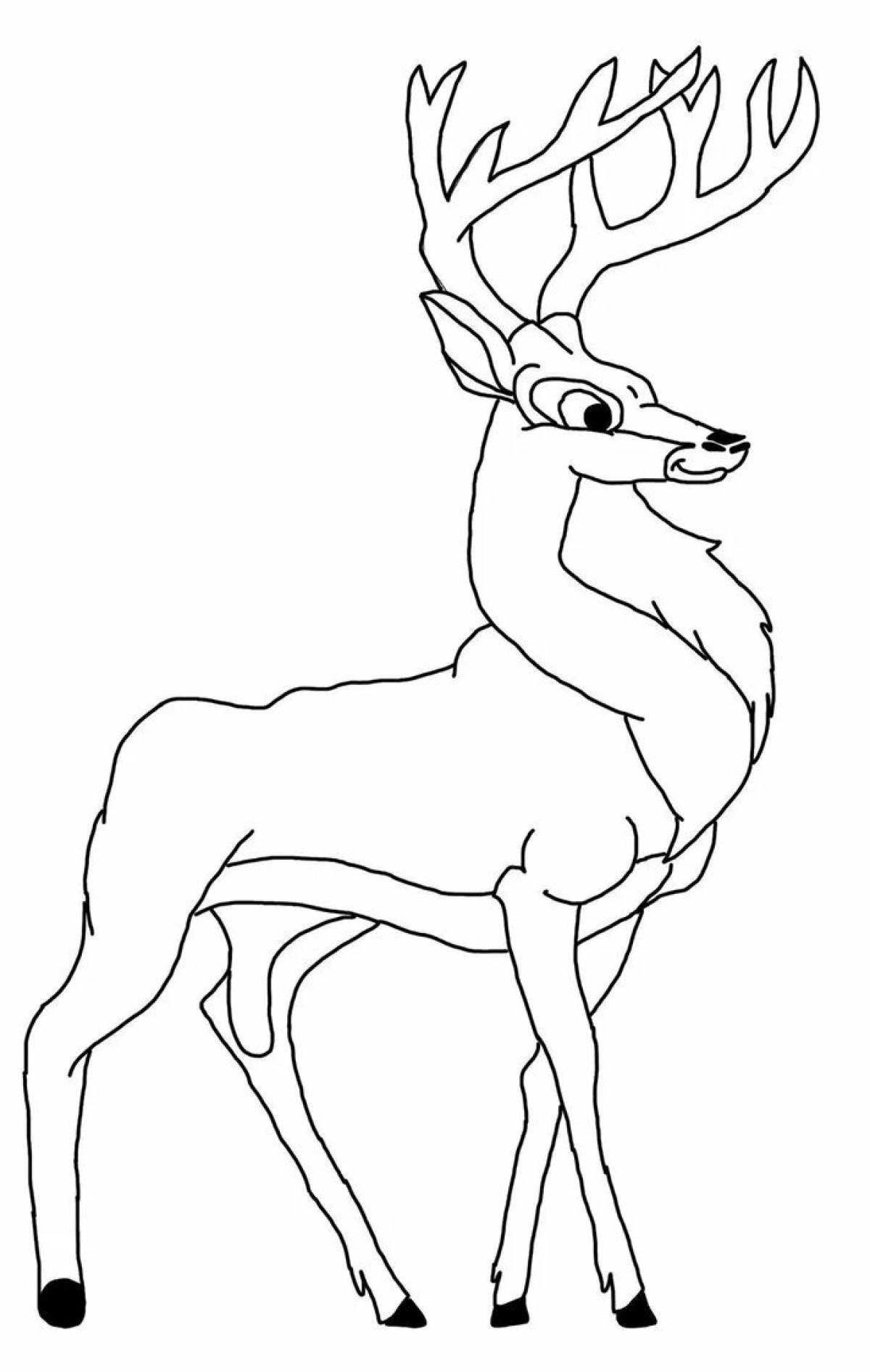 Colourful deer coloring book for children 6-7 years old