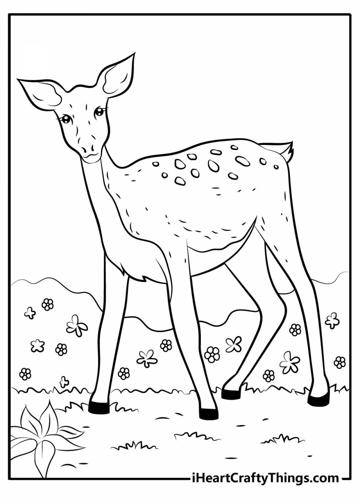 Раскраска экзальтированный олень для детей 6-7 лет