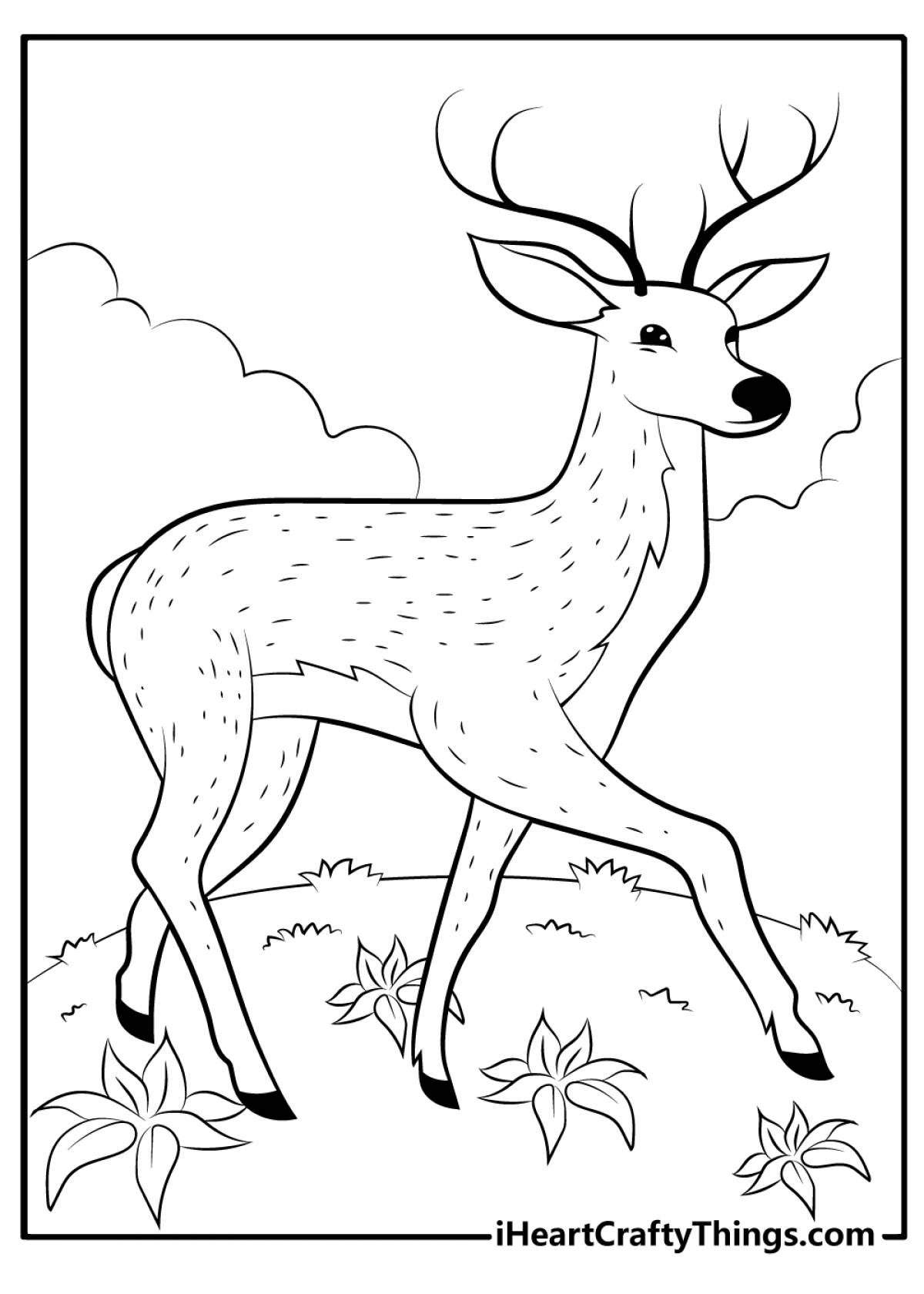 Раскраска экзальтированный олень для детей 6-7 лет