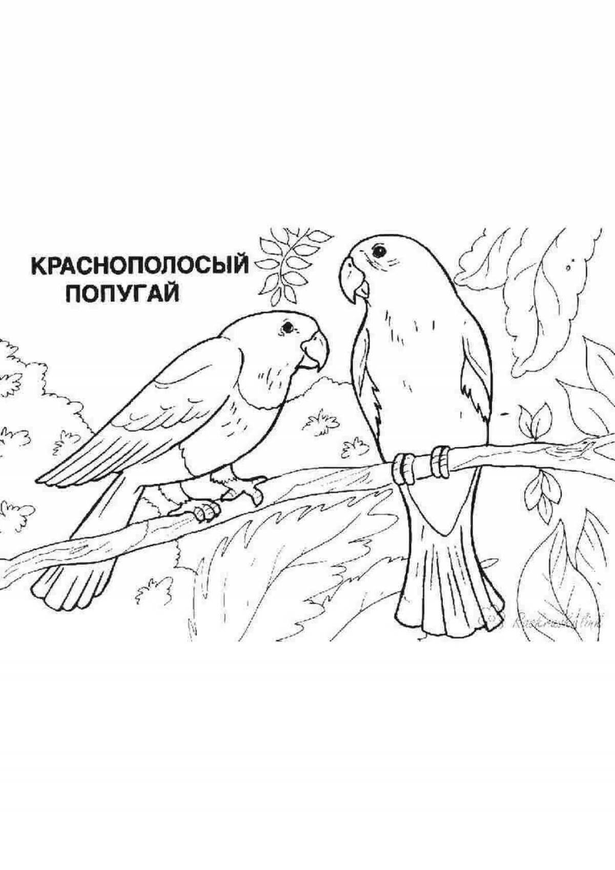 Fascinating coloring of the animals of the red book of Russia for children
