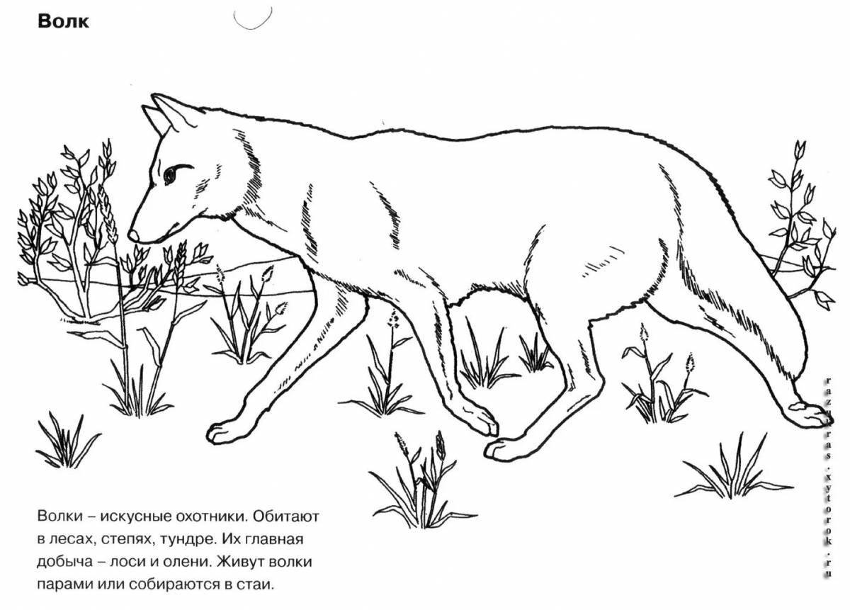 A fascinating coloring book of animals from the Red Book of Russia for the little ones