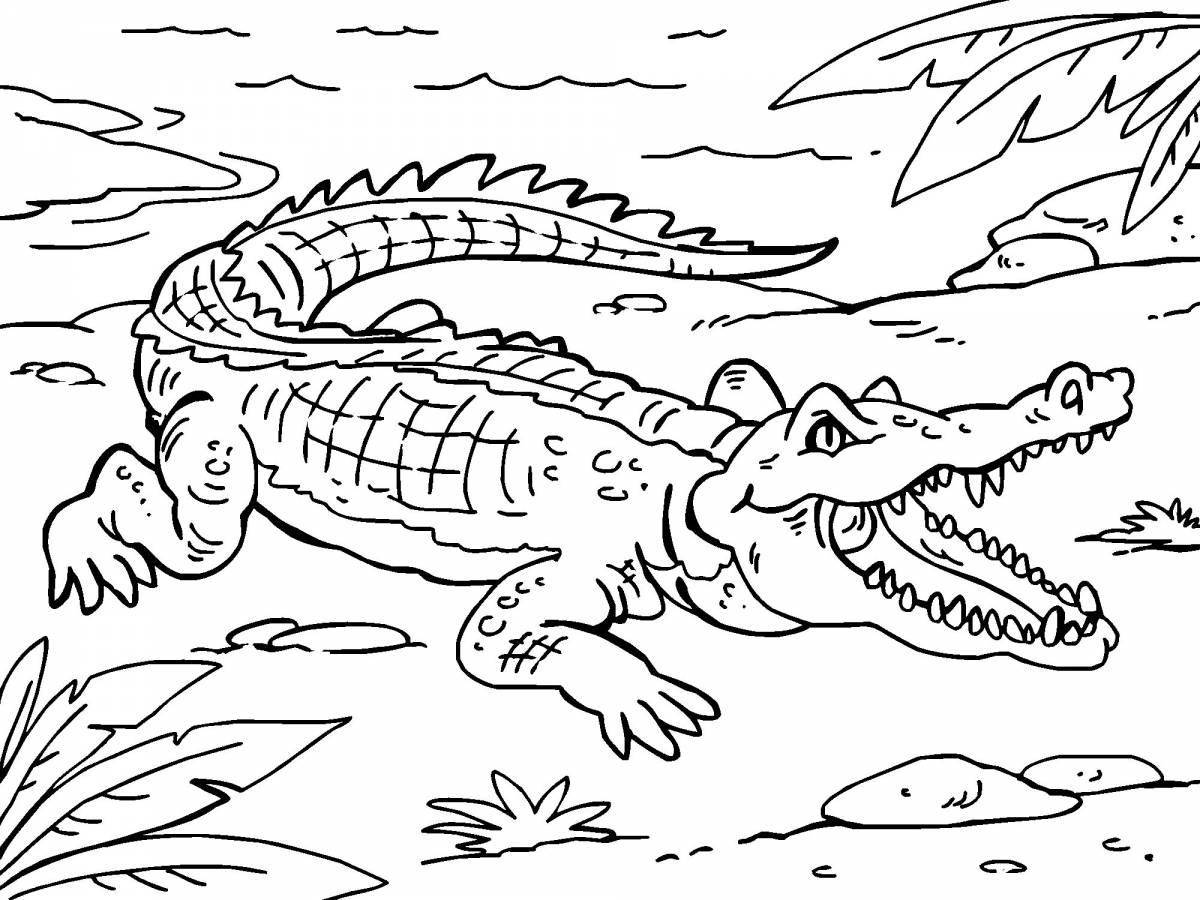 Раскраска живой крокодил для детей 3-4 лет