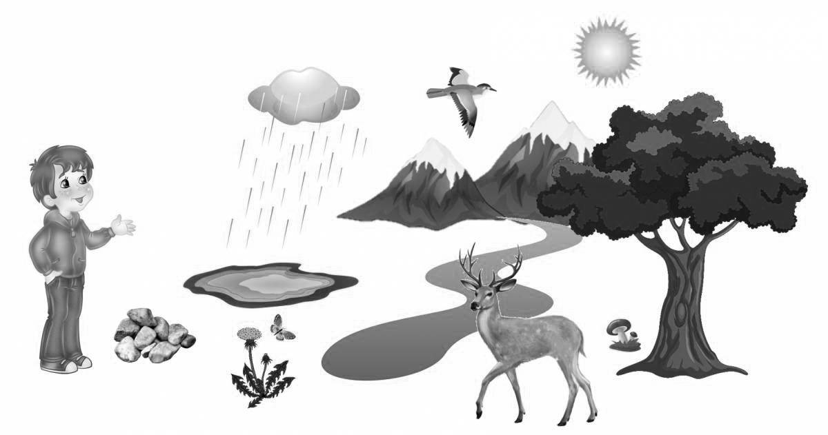 Relaxing wildlife coloring book for preschoolers