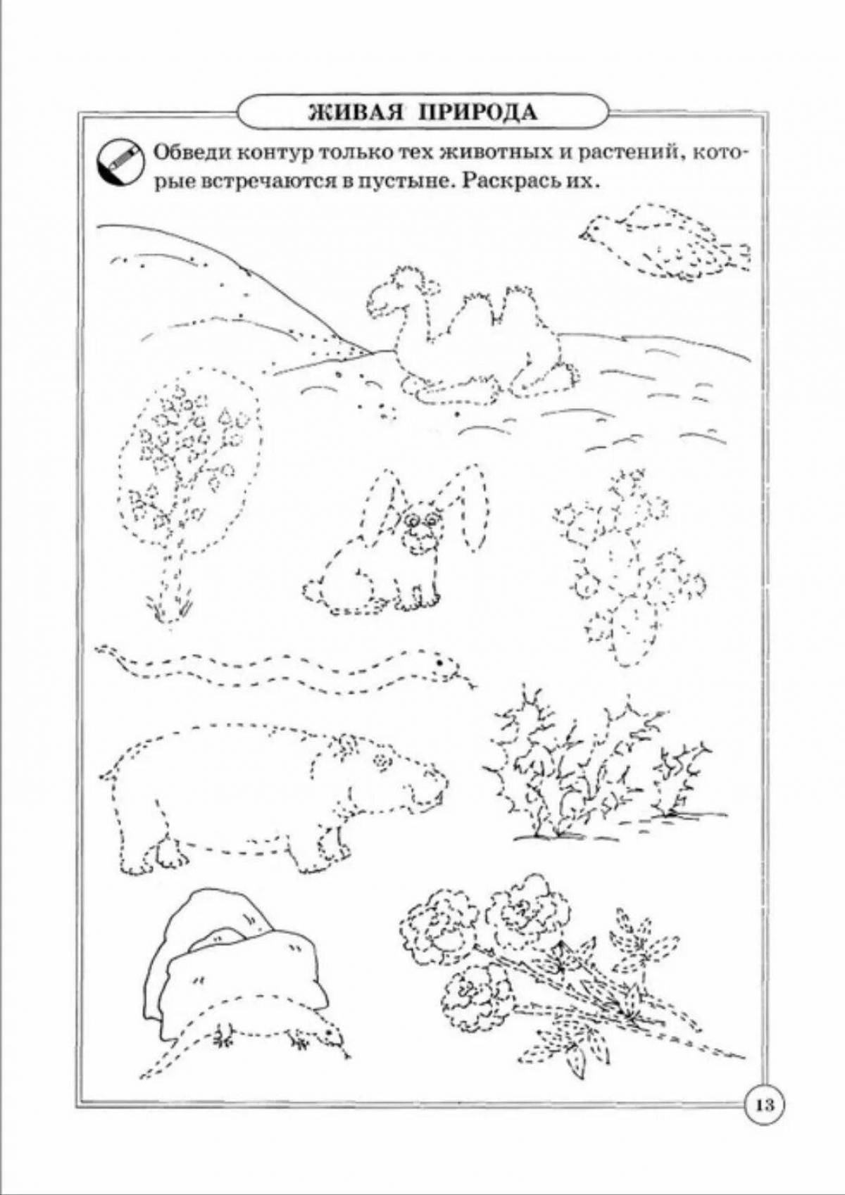 Colorful wildlife coloring book for preschoolers