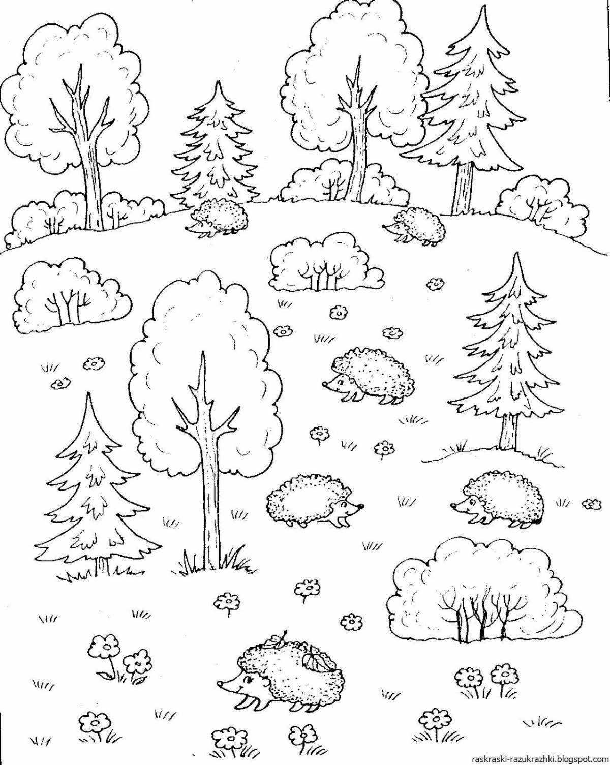 Scenic inanimate nature coloring book for preschoolers