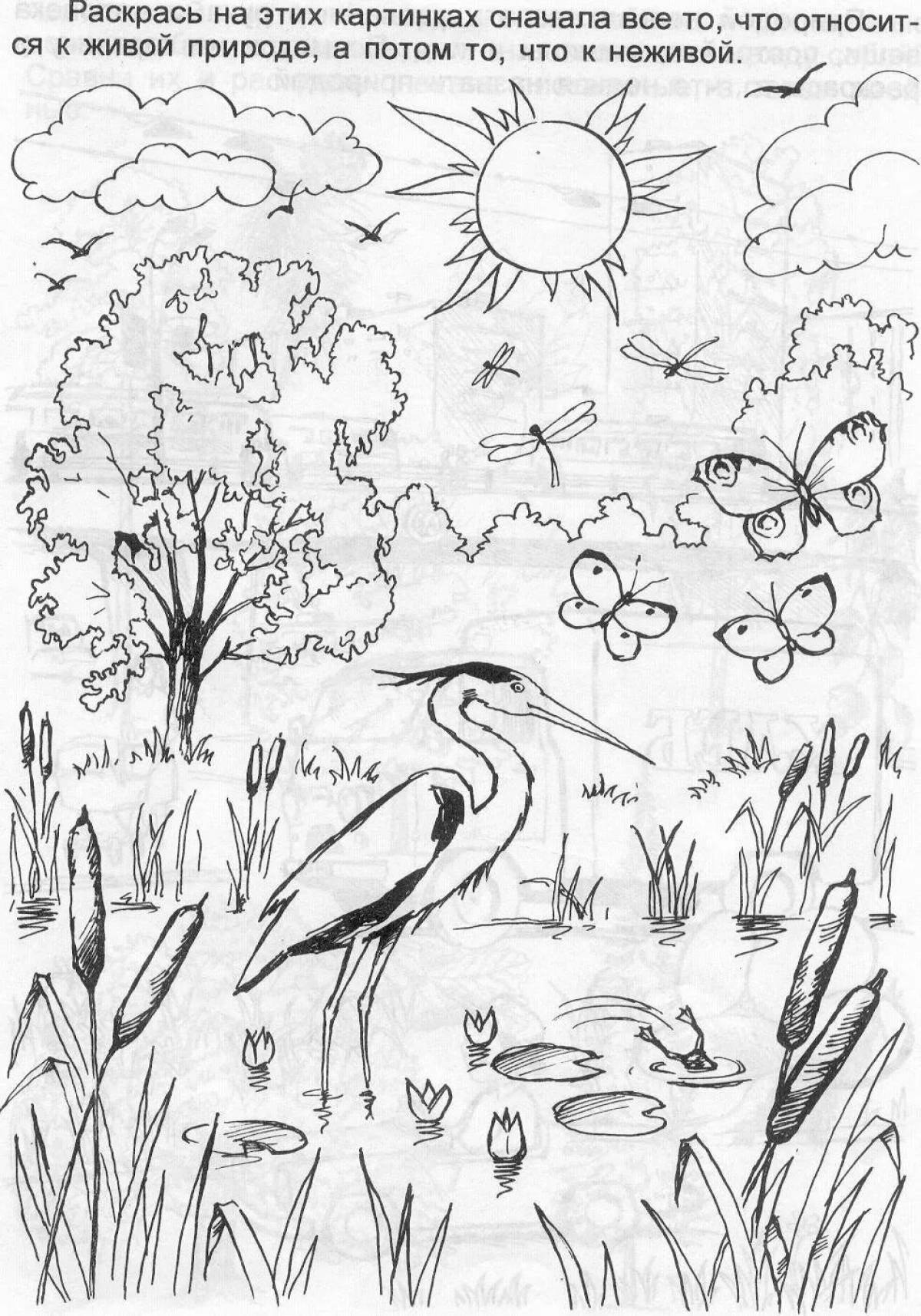 Wild and non-living nature for preschoolers #2