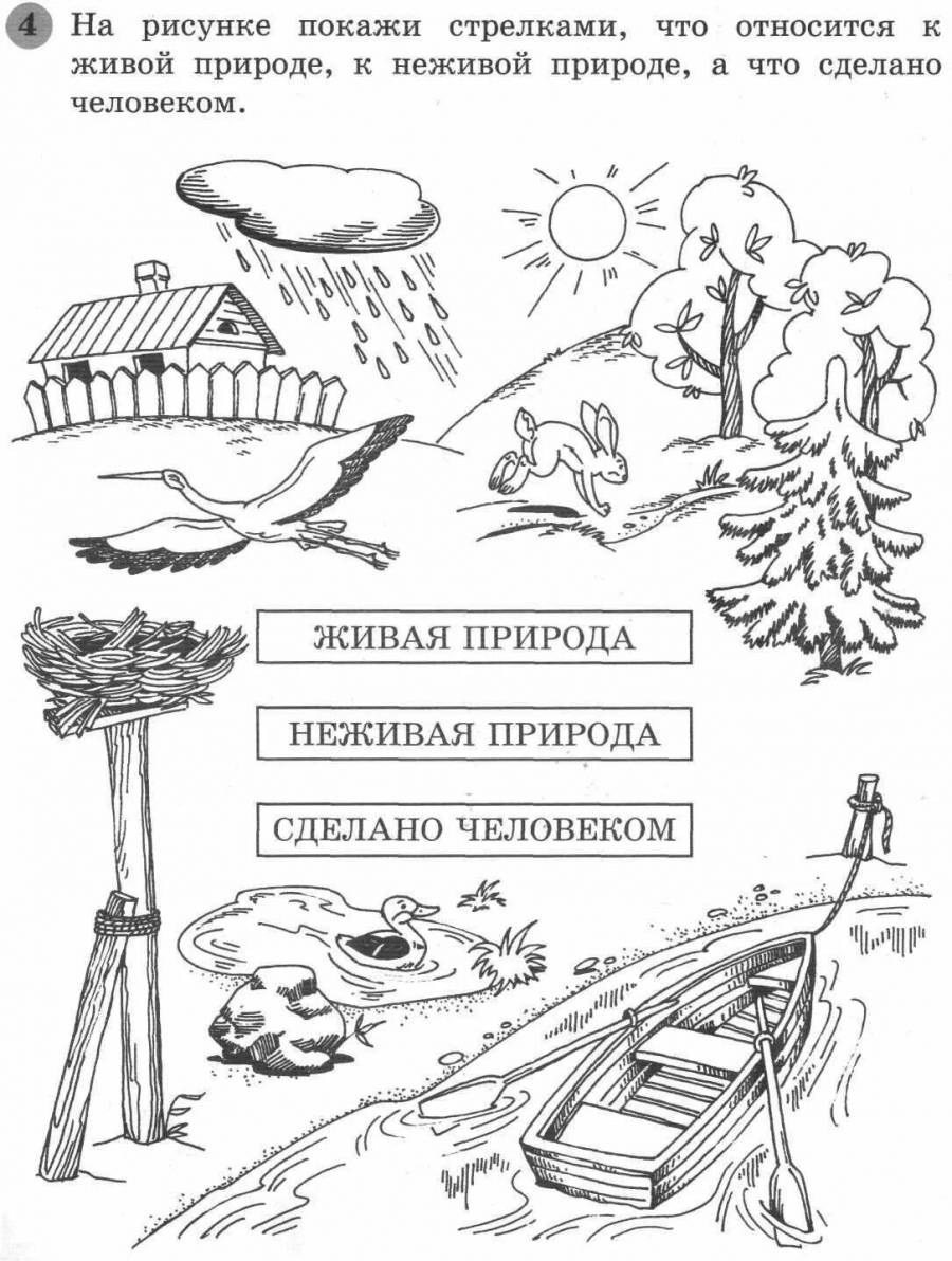 Обведи на рисунке объекты живой природы окружающий мир 2 класс