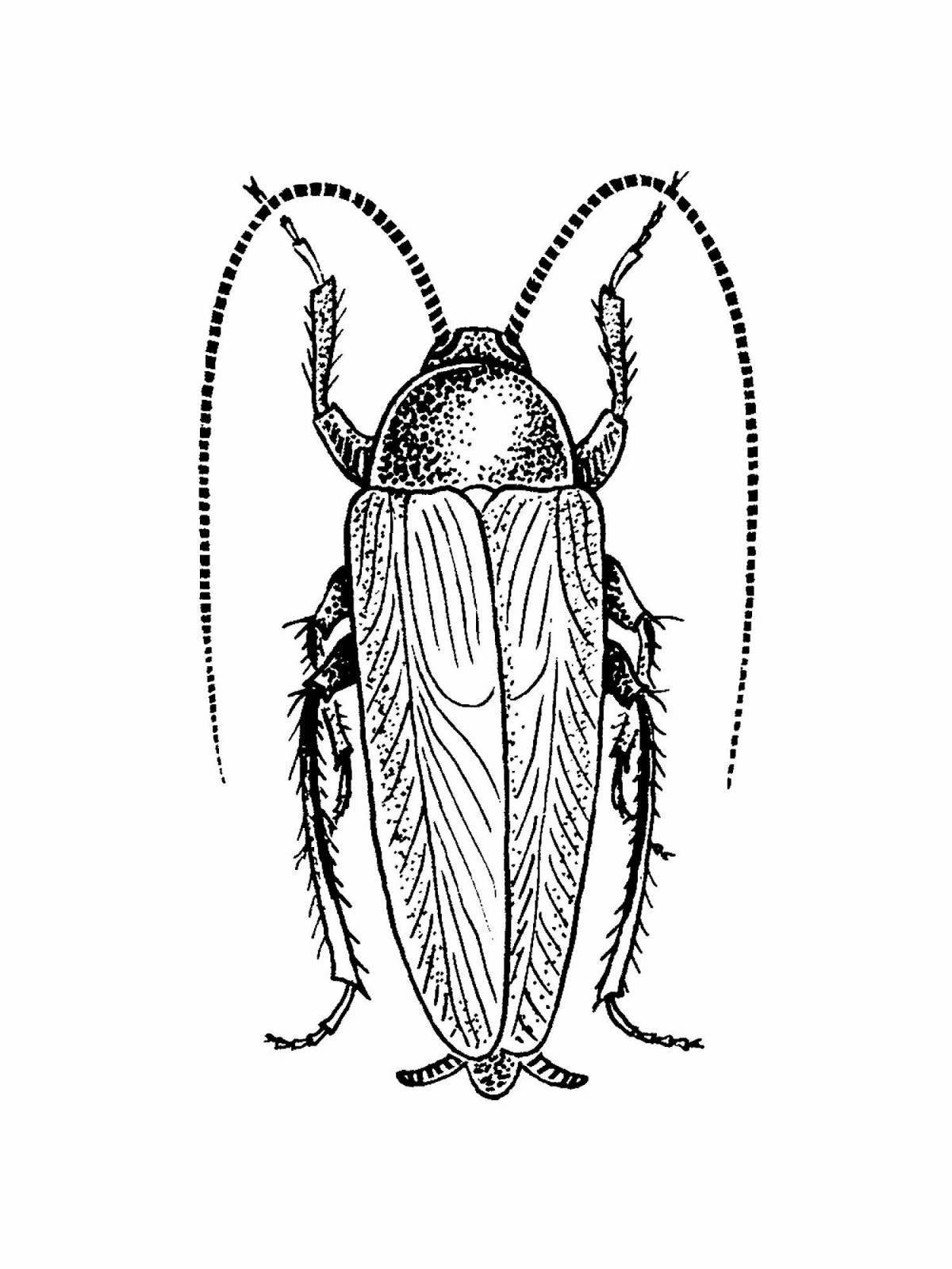 Таракан с рисунком на спине