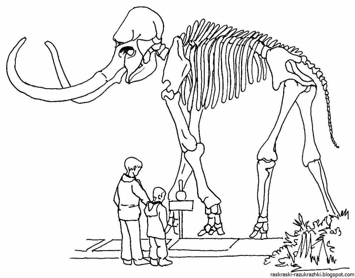Раскраска скелет динозавра в музее
