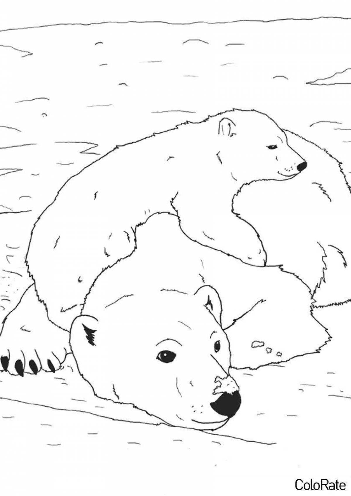 Cute polar bear coloring book
