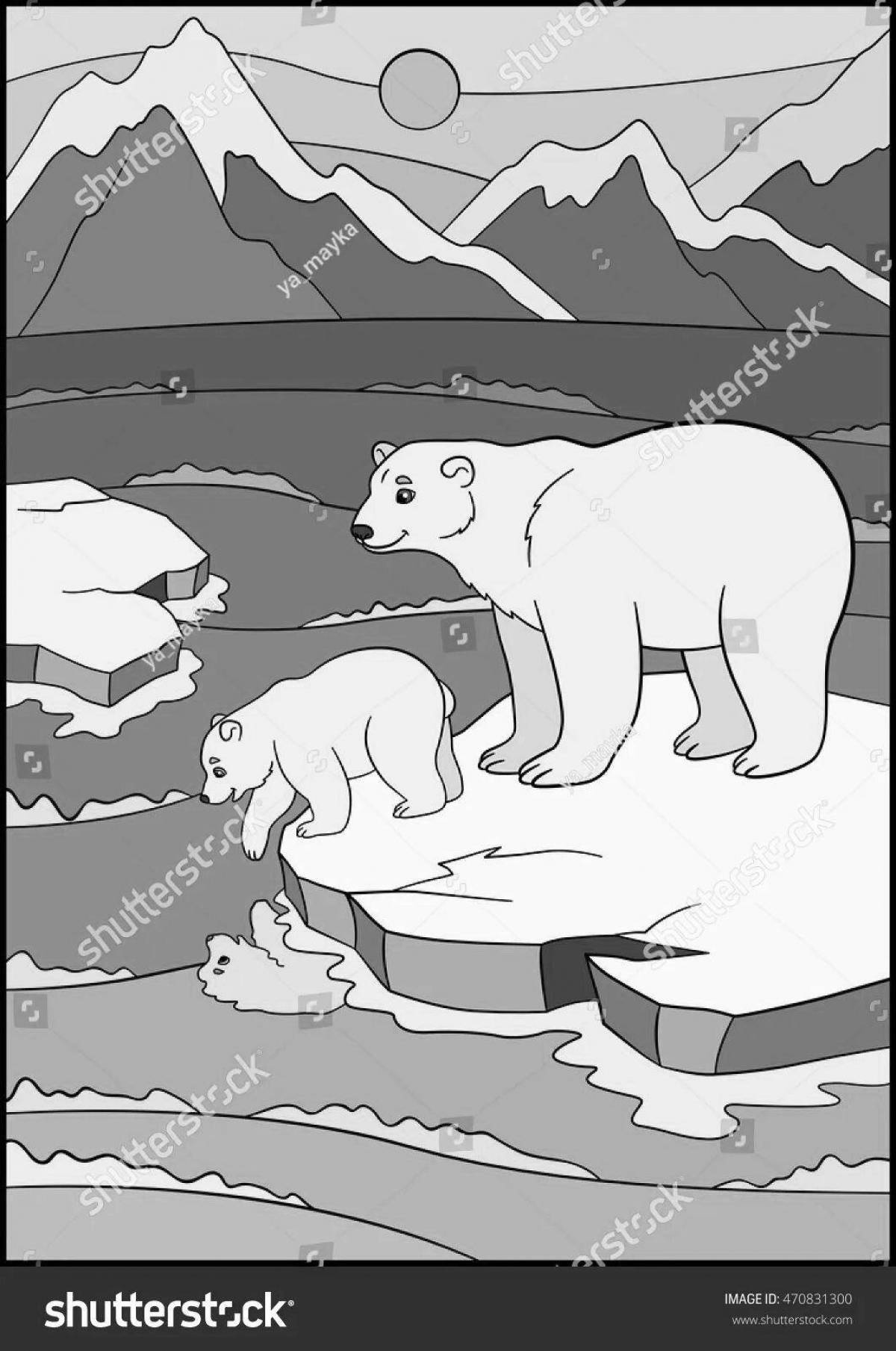 Colouring polar bear