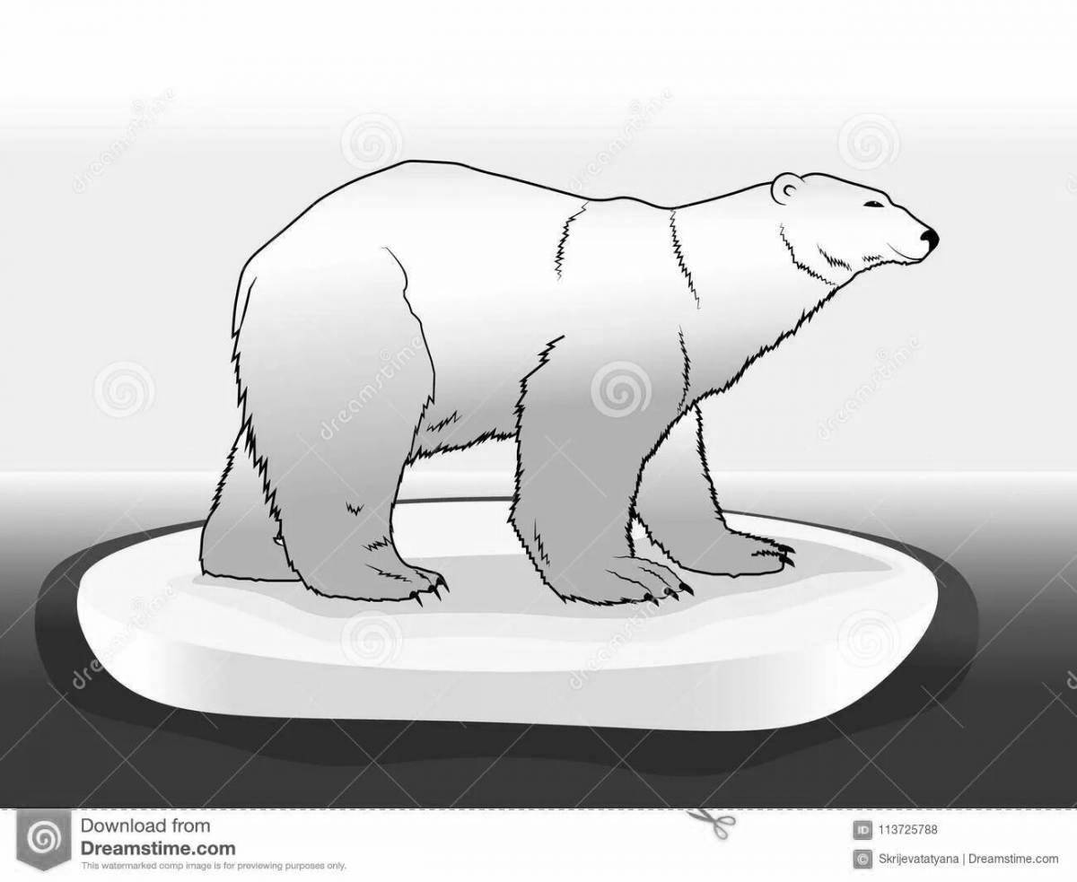 Великолепная раскраска белый медведь