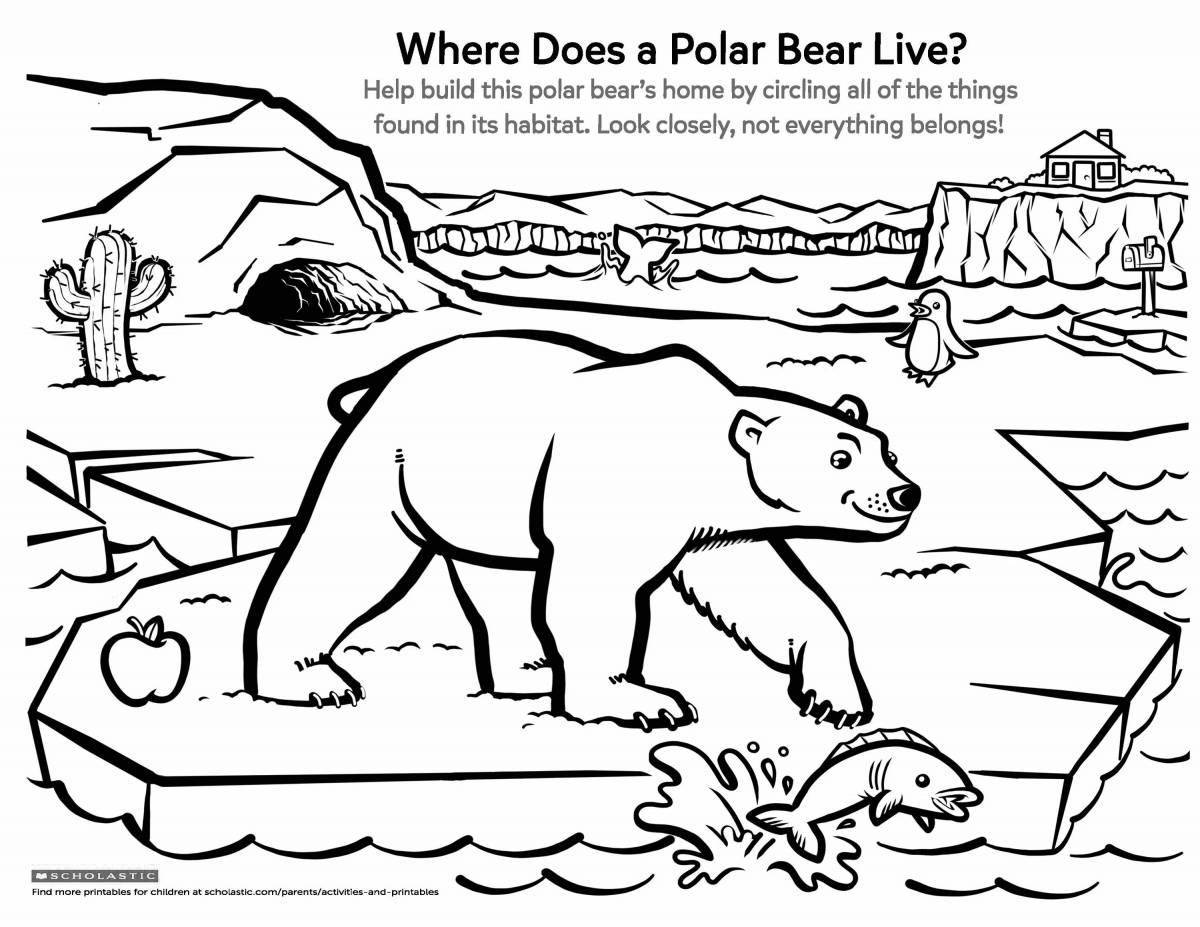 Fun coloring polar bear