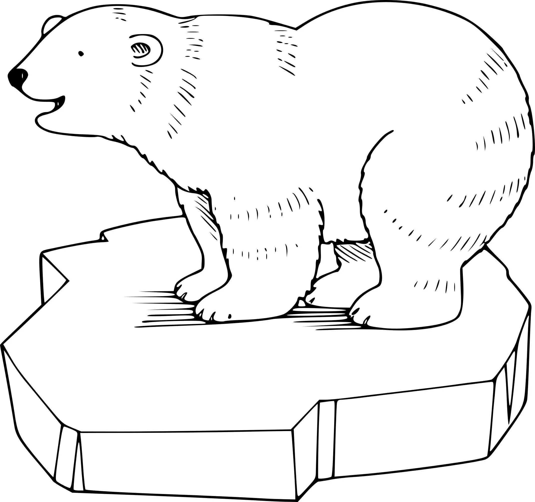 Белый медведь для детей на льдине #7