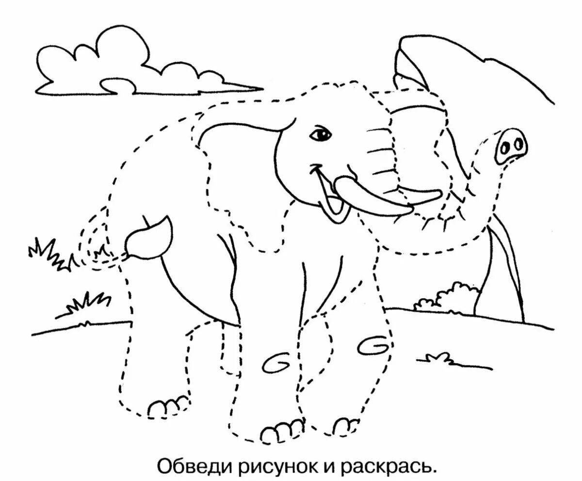 Exotic coloring pages animals of hot countries for children 6 years old