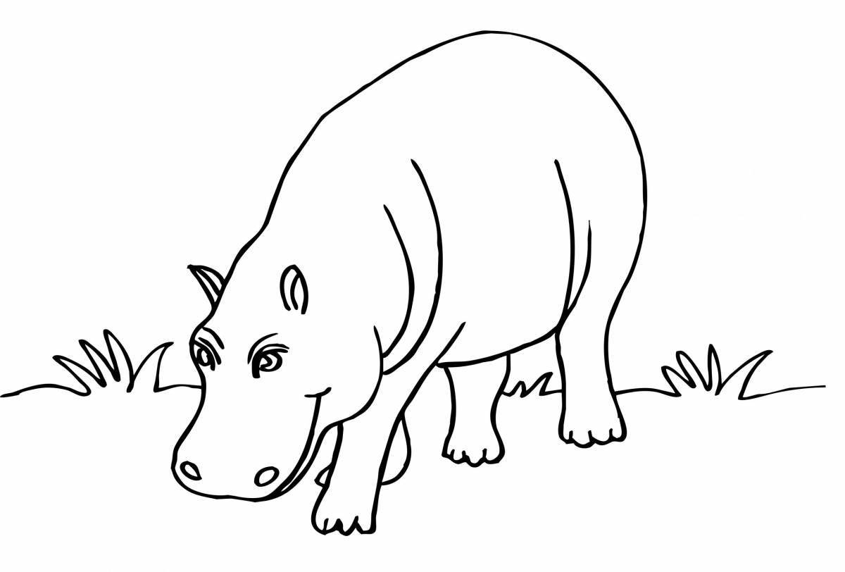 Coloring game animals of hot countries for children 6 years old
