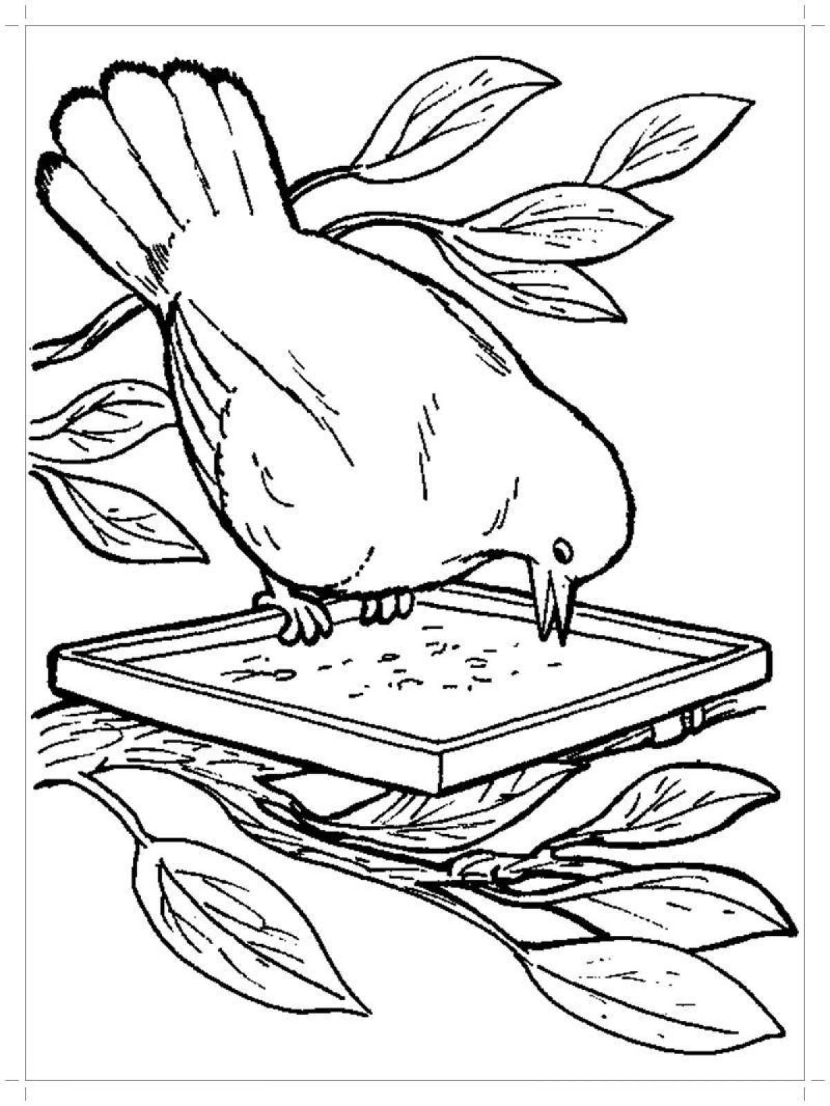 Fun bird feeder coloring book for preschoolers