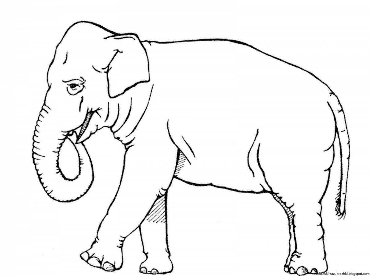 African animals coloring page for 3-4 year olds