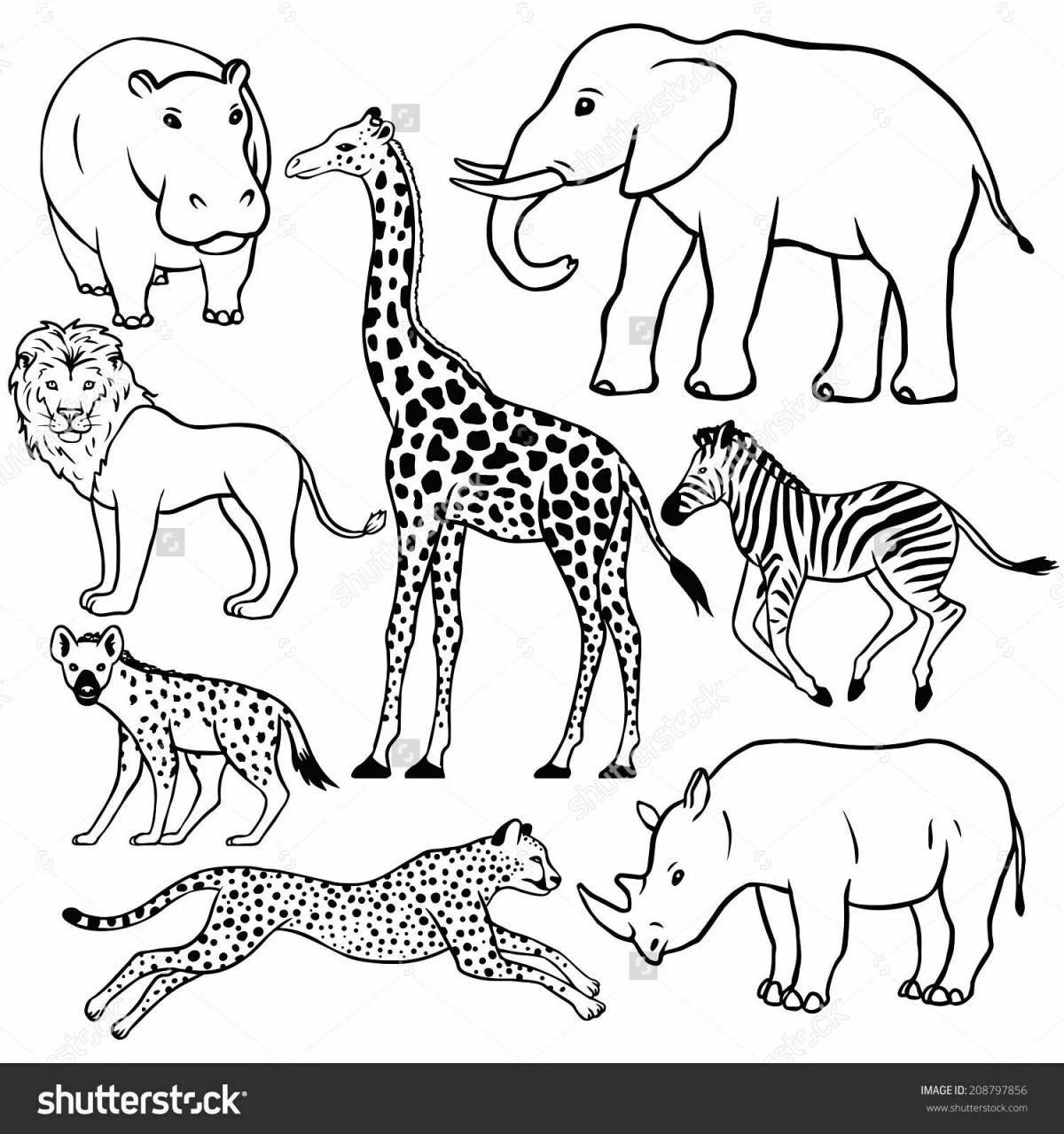 A fascinating coloring book animals of hot countries for children 6-7 years old